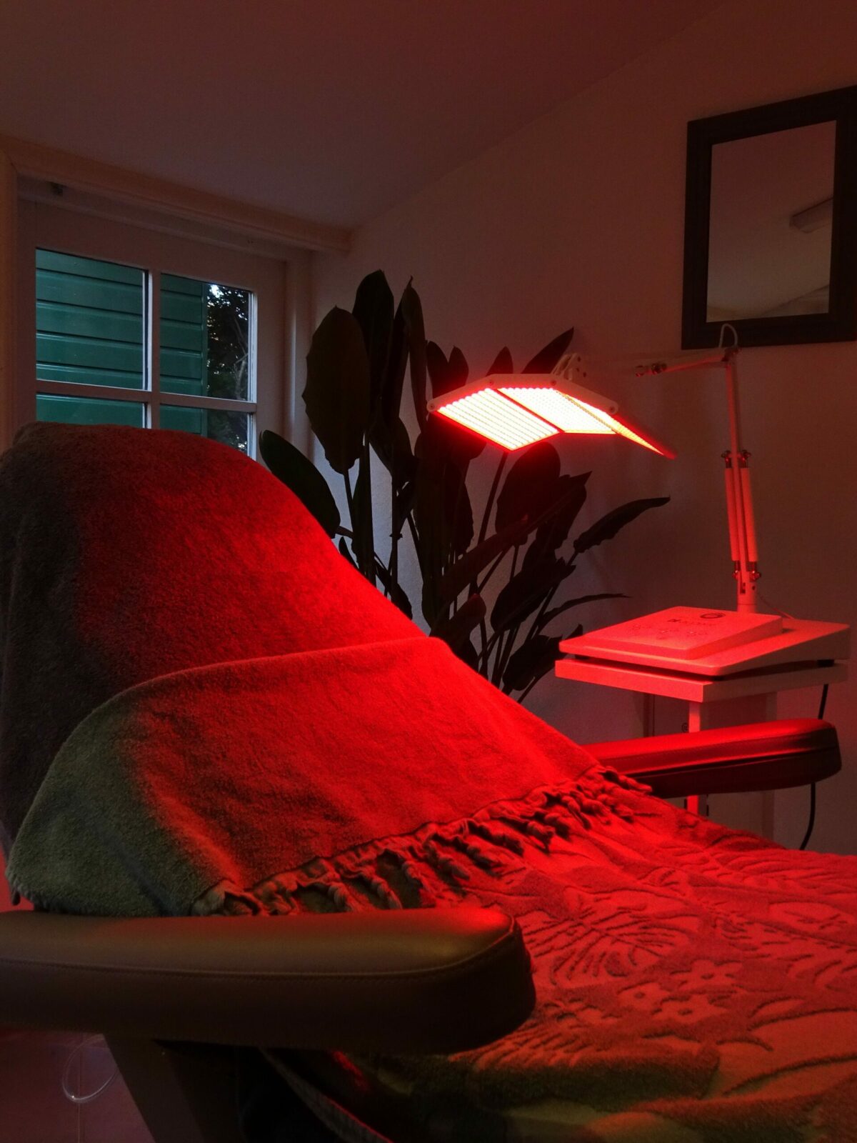 rood licht rood licht